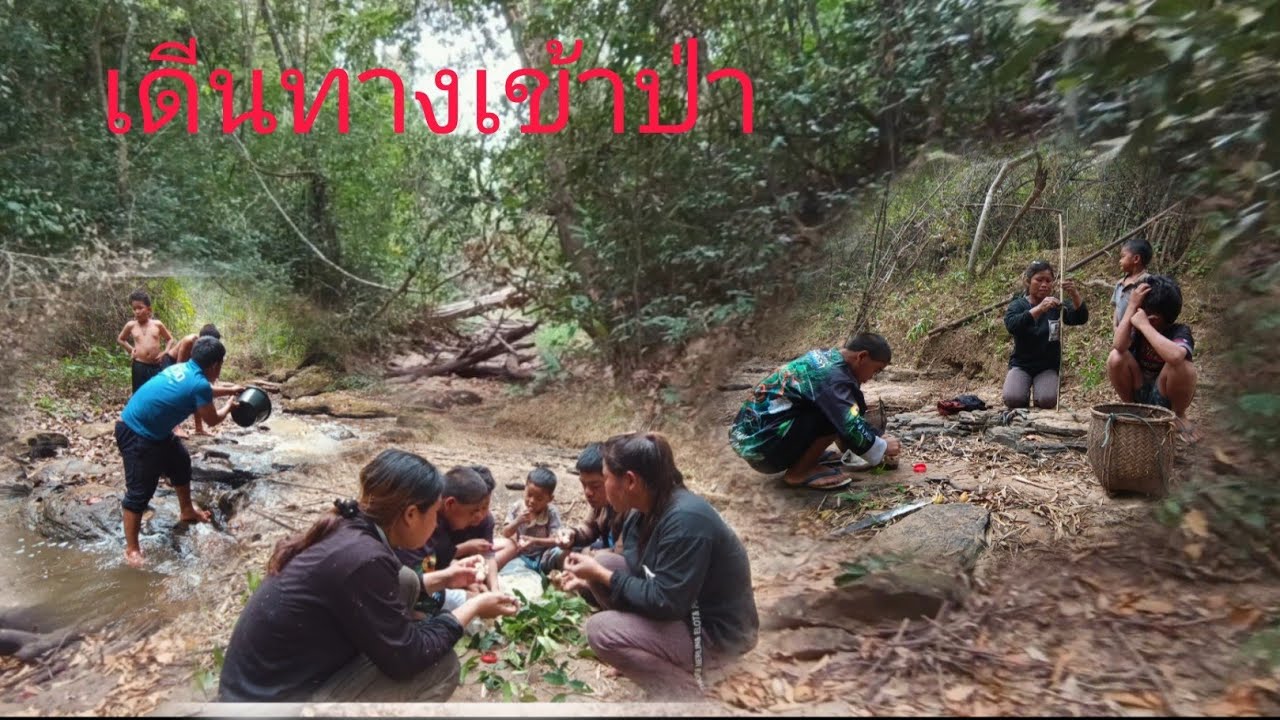 พาคอบควเข้าป่าหาปรา““ພາຄອບຄົວເຂ້າປ່າຫາປາ