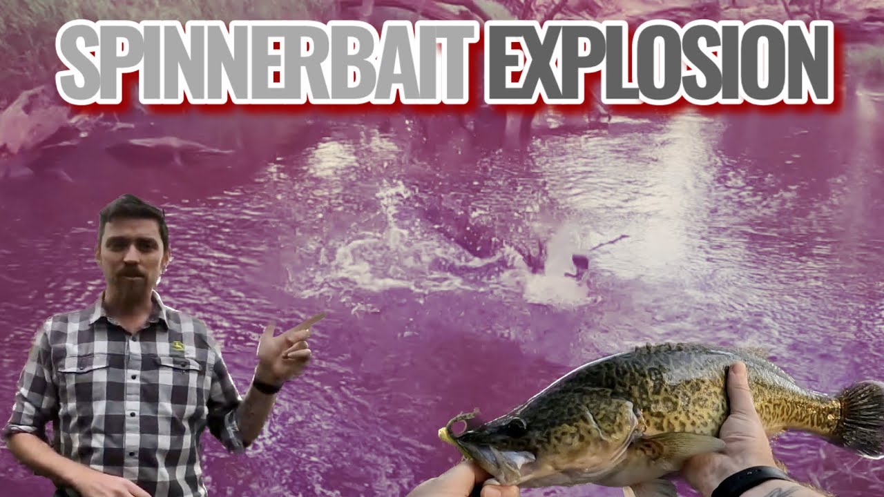 The Thrill of a Spinner Bait Explosion: Quick After-Work Lure Fishing ...