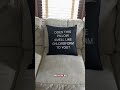 An author redecorates #booktok #bookbites #bookish #authorproblems  #books #booktubetbr