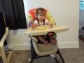 Fisher Price Luv U Zoo EZ Clean High Chair