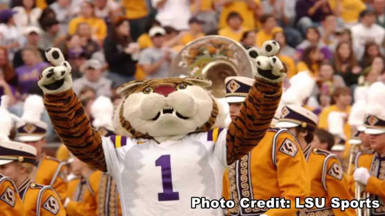 Mike the Tiger Appears in Music Video