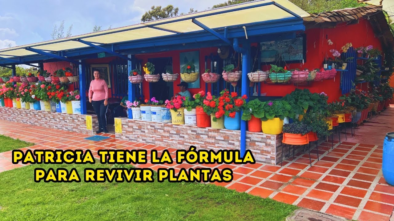 El JARDÍN de Patricia una FÁBRICA de FLORES, asombrosas y hermosas PLANTAS, mira sus SECRETOS |AP