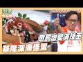 基隆鎖管大炸裂滿滿海味 詹姆士懲罰電筆竟拉一串人有難同當｜基隆深海怪蛋｜好菜上桌 米澤師傅｜型男大主廚