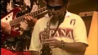 Video thumbnail of "Fat Freddy's Drop - The Best Live Performance Ever [HD]"