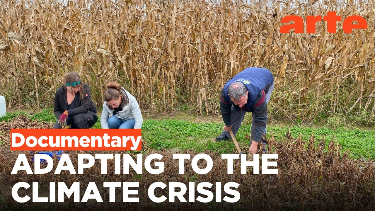 The Future of Agriculture: A Revolution in the Fields