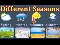 Weather, Different Seasons, Learn About Autumn, Winter, Spring, Summer