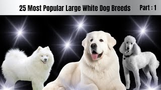 25 Majestic White Dog Breeds Journey! 🌟 25 White Cute Dog Breeds  🏞️ Furry White Dogs 🐾 Part 1