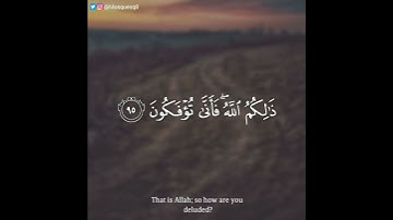 عبدالله الخلف - سورة الأنعام || إِنَّ اللَّهَ فَالِقُ الْحَبِّ وَالنَّوَىٰ