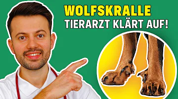 Was kostet Wolfskralle entfernen?