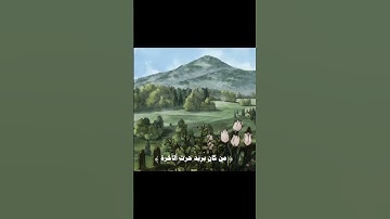 اللَّهُ لَطِيفٌ بِعِبَادِهِ يَرْزُقُ مَنْ يَشَاءُ🤎. ستوريات انستا قرآن كريم ، فيديوهات راحه نفسيه