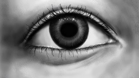 How To Draw A Realistic Eye In Photoshop