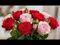 Heer Aur Tina Ka Emotional Moment Nawab Ka Raaz Hua Chhupa|| 8 February 2026||