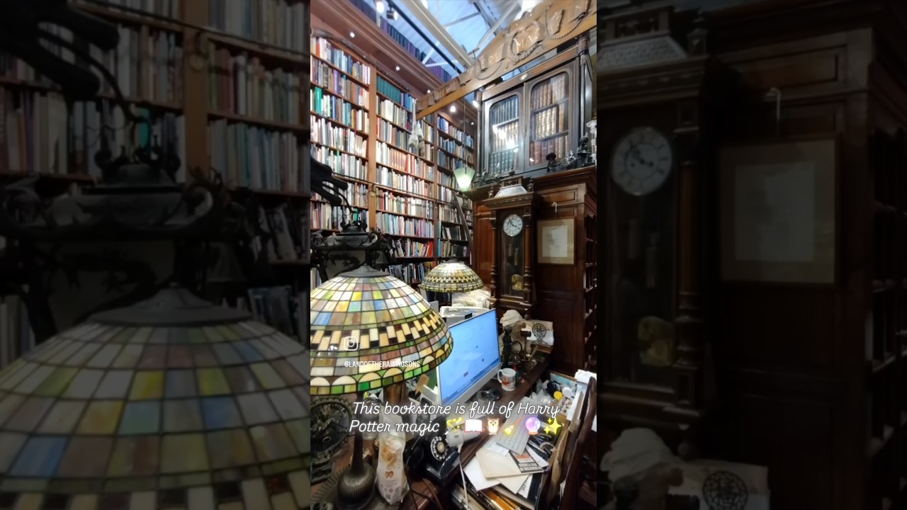 This bookstore is full of Harry Potter magic 🪄📖🦉🧹🔮✨ 