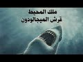 اضخم سمكة قرش في العالم قرش الميجالودون اضخم سمكة قرش في العالم قرش الميجالودون