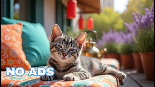 12 Hours Of Music For Cats 🐈 Gentle Relaxation Piano ♬ Cat TV 😻 Sleep Music To Heal Stress