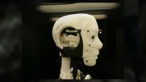 InMoov: Your 3D Printed Robot!