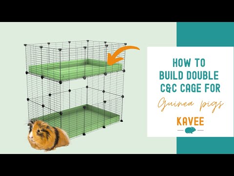 DIY and C&C Cages for Guinea Pigs: Build Your Own! - Squeak Dreams