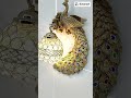 Swanart Elegant Glitzail Peacock Wall Lamp with Golden Finish