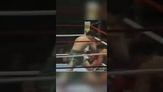 INSANE KO. BRUTAL KO. JERRY COONEY VS KEN NORTON