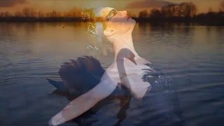 Pavane De Lange - Philippe Eidel Michelangeloa Giovanni, A Quel Proprio Da Pistoia 1509-1512