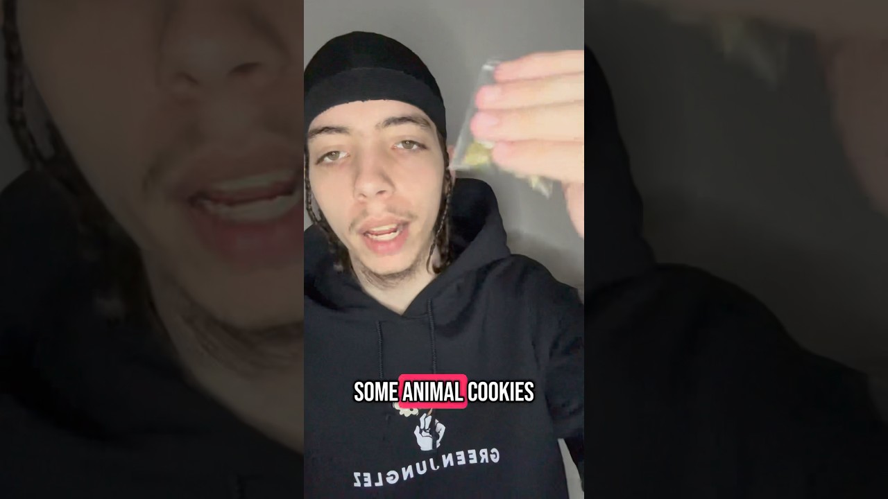 Animal Cookies Review🍪