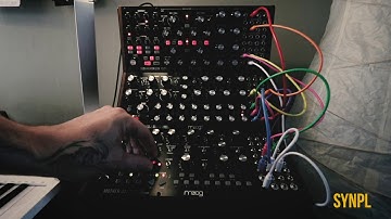 Jamuary #12 - "Phonophobia" // Moog Mother 32, DFAM, & Subharmonicon