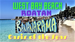 Oasis Of The Seas - BANANARAMA - West Bay Beach - Roatan - 3/2/2023