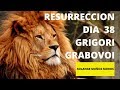 RESURRECCION Y VIDA ETERNA con Solange Muñoz