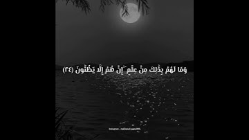 اكتب شيئ تؤجر عليه #ياسر_الدوسري #سورة_الجاثية #foryou #القرآن #المصحف #القرآن_الكريم
