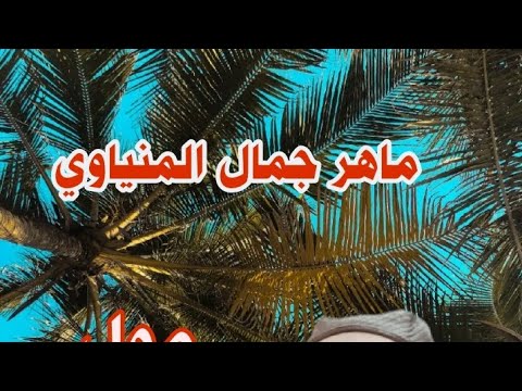ماهر جمال المنياوي مول يا حبيبي زياره مشاهدات اليوتيوب 44لف 
