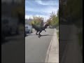 Dinosaur Caught on Phone – Sudden Dash|スマホが捉えた恐竜、突然ダッシュ#dinosaur #恐竜#foundfootagehorror #ScaryShorts