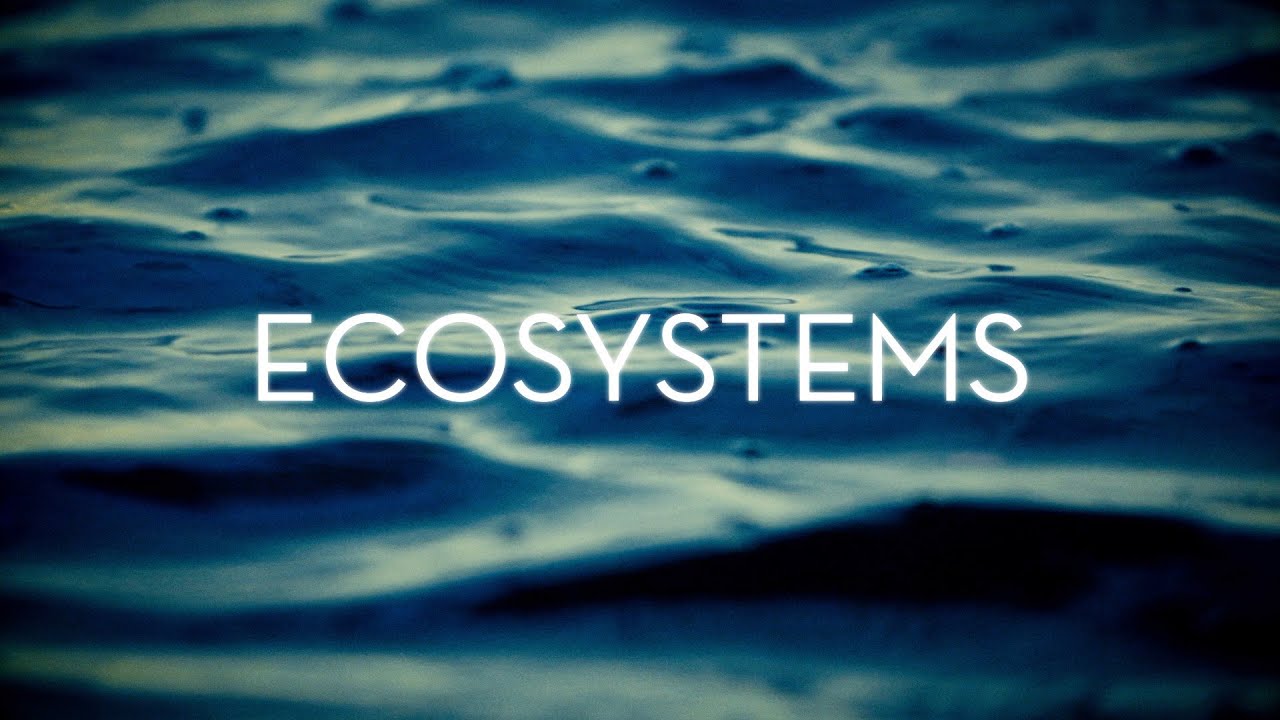 St. Johns Riverkeeper: Ecosystems