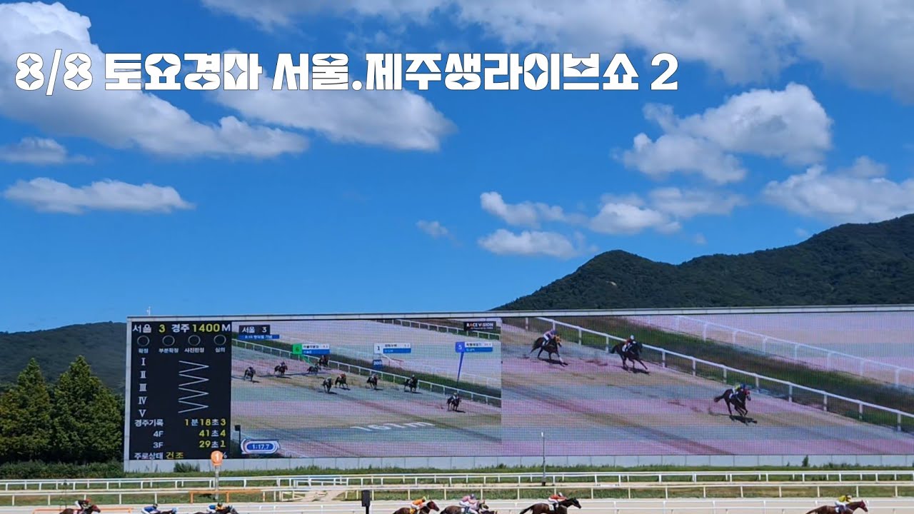 토요경마 8.15 광복절 기념경주 (서울.제주 생라이브쇼2)