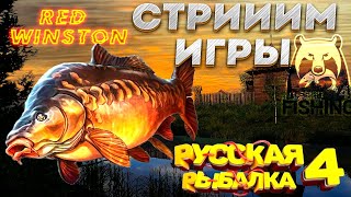 РУССКАЯ РЫБАЛКА 4 / Russian Fishing 4 - Я Снова онлайн!! Заходим, как раз тестим новый водоем!!