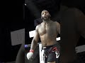Scary KO at PFC 45 by David The Smoke Wright 💨 #mma #mmahighlight #ko #knockout #peakfighting
