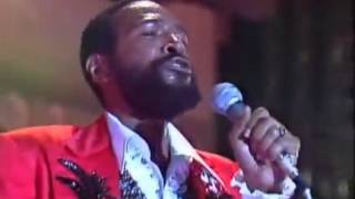 Video thumbnail of "Marvin Gaye   Let s Get It On /マーヴィン・ゲイ"