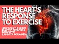 HOW & WHY HEART RATE CHANGES WITH EXERCISE INTENSITY: Cardiovascular Responses in the Lab