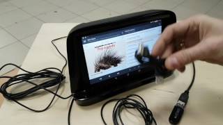 Видео Готовое решение для Renault Kaptur (автор: Smart Custom)