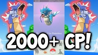 Pokemon GO ★ GYARADOS 2000+ CP EVOLUTION! ★ Magikarp EVOLUTION to Gyarados in Pokémon GO!