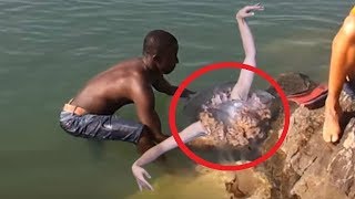 Это что за ересь? WTF. Сняли на камеру...