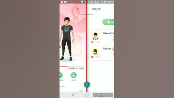 Pokemon Go Trainer Code Add Me