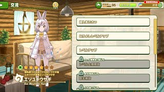 Kemono friends 3: Ezo Mountain hare introduction