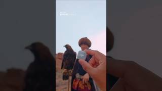 Want pro audio without a receiver? 🎤｜Pocket 4 &amp; Mic Mini 2