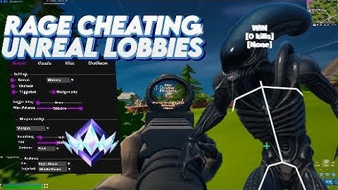 CAN YOU USE CHEATS IN FORTNITE 2025?!? (FT. Avx)