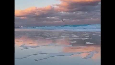 سورة الإخلاص بصوت سيف العزيزي