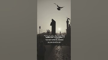 لا تحزن إن الله معنا | للقارئ عبدالرحمن مسعد #تلاوة_خاشعة #الصلاة #القرآن_الكريم