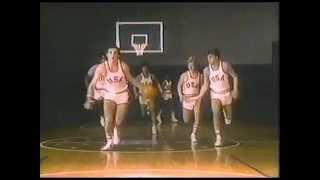 1984 converse basketball shoes