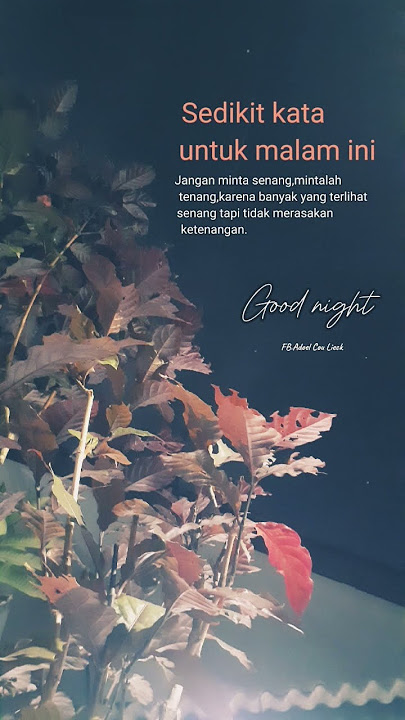 Yang senang belum tentu tenang #shortvideo #quotes #gudangquotes #katakatabijak #katabijakhariini