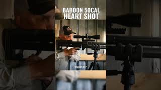 Ever seen a BABOON shot with a 50BMG?!? Link in description! screenshot 5