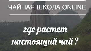 элитный чай оптом